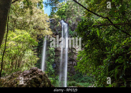 Scenic Twin falls in Springbrook National Park rainforest. Queensland, Australia Stock Photo