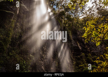 Rays of light shining through trees at waterfall. Twin Falls, Springbrook National Park, QLD, Australia Stock Photo