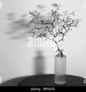 Branch of Hardy Orange Tree, Poncirus trifoliata, in Vase on round Table Stock Photo