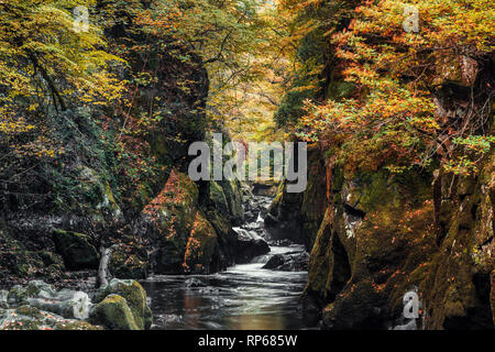 Fairy Glen Gorge waterfall at autumn in Snowdonia National Park, North Wales, UK Stock Photo
