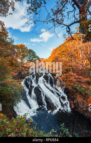 Swallow Falls at autumn. The most popular waterfall in North Wales, UK Stock Photo