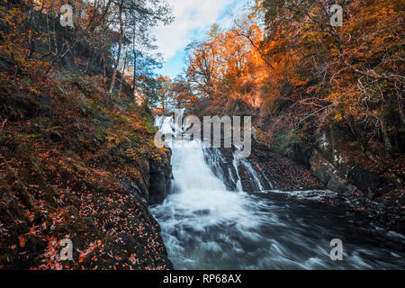 Swallow Falls at autumn. The most popular waterfall in North Wales, UK Stock Photo