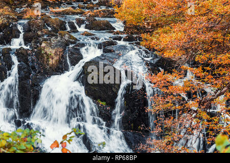 Swallow Falls at autumn. The most popular waterfall in North Wales, UK Stock Photo