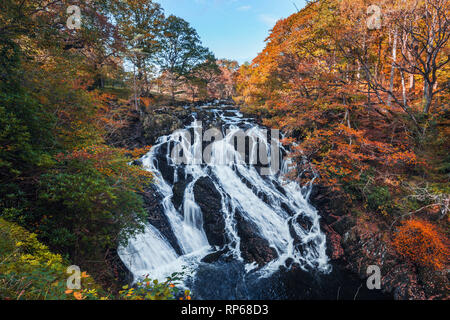 Swallow Falls at autumn. The most popular waterfall in North Wales, UK Stock Photo