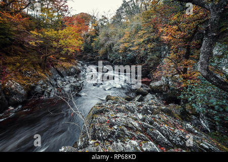 Looking down into rocky cascades of Fairy Glen Gorge waterfall at autumn in Snowdonia National Park in North Wales, UK Stock Photo