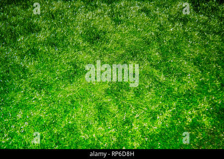 synthetic artificial grass texture. artificial grass texture for background Stock Photo