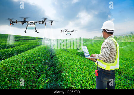 Technician farmer use wifi computer control agriculture drone fly to sprayed fertilizer on the green tea fields, Smart farm 4.0 concept Stock Photo