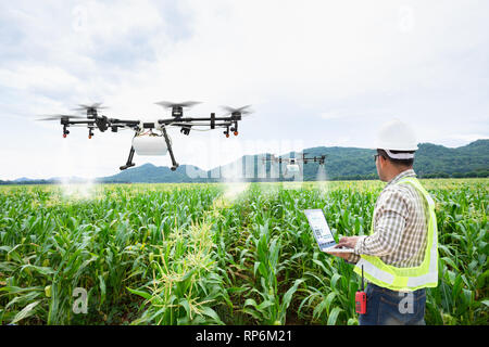 Technician farmer use wifi computer control agriculture drone on sweet corn field Stock Photo