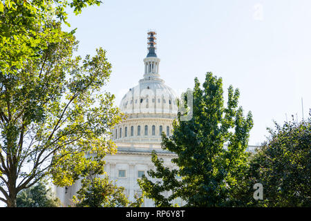 US Congress dome closeup with sky and green trees in Washington DC, USA on Capital capitol hill and construction workers painting exterior on scaffold Stock Photo