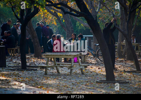 Elderly people of retirement, gathered in the park to play CARDS.In China. Stock Photo