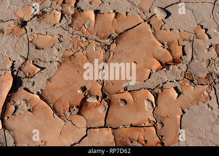 Flaking, sun-dried mud creates intricate textures on the floor of Ubehebe Crater in Death Valley National Park. Stock Photo