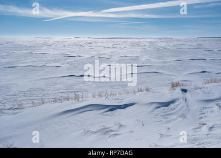 Vast snow covered field in Saskatchewan with grass poking out of snowbank Stock Photo