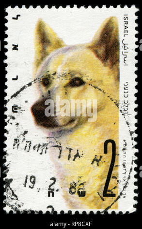 Postage stamp from Israel in the World Dog Show series issued in 1987 Stock Photo