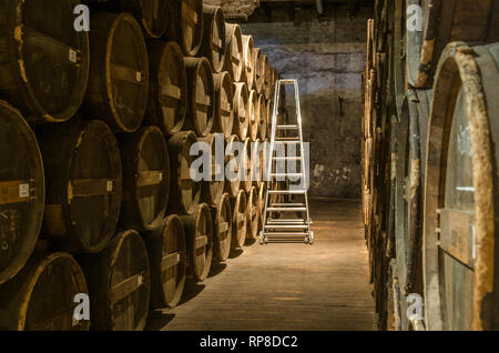 FRANCE COGNAC SEP 208: view of the cellar of Otard winery of Cognac town. The town is a place where the cognac drink is produced Stock Photo