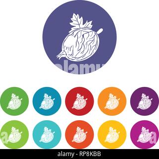 Gooseberry icons set vector color Stock Vector