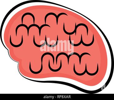 Isolated human brain. Colored sketch Stock Vector