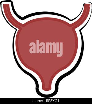 Isolated human uterus. Colored sketch Stock Vector