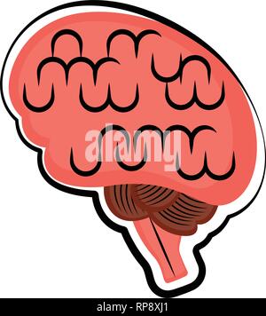 Isolated human brain. Colored sketch Stock Vector
