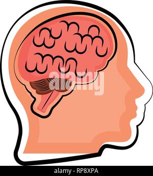 Isolated human brain in a body Stock Vector