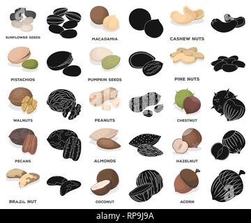 acorn,almonds,brazil,cartoon,black,cashew,chestnut,coconut,collection,delicacy,design,dessert,different,farm,food,forest,growing,hazelnut,icon,illustration,ingredient,isolated,logo,macadamia,manchurian,nut,nuts,peanuts,pecans,pine,pistachios,plant,product,protein,pumpkin,seed,set,sign,sunflower,symbol,variety,vector,walnut,walnuts,web Vector Vectors , Stock Vector