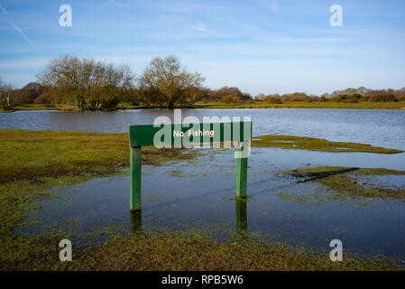 A green permanent wooden No fishing sign at a flooded  Janesmoor pond in the New Forest Hampshire England. Stock Photo