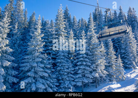 Sunny weather in the winter forest. Cabin of a chair ski lift in the background of snowy fir trees Stock Photo