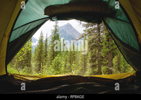 A view on a beautiful mountain slope with green trees through the open window. tent at the camp. View from inside Stock Photo
