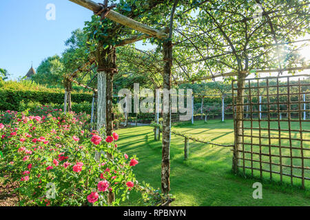 Orsan priory garden, France : the Three Orchard Cloister, closed and round space planted in border of Gallic rosebushes 'Rose of the Witches ' (obliga Stock Photo