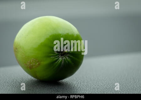 Close up of Green Indian Ber, Ziziphus mauritiana, also known as Chinese Date Stock Photo