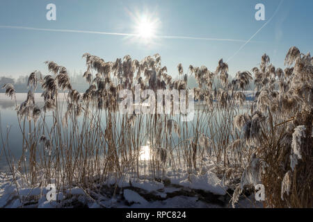 Cold frosty winter day over a tranquil lake with reflections and morning mist in a weather and seasons concept Stock Photo