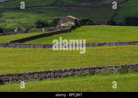 Old stone barn and dry stone walls near Hawes Yorkshire Dales National Park Yorkshire England UK July 2016 Stock Photo