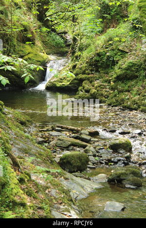 Lydford Gorge, River Stock Photo