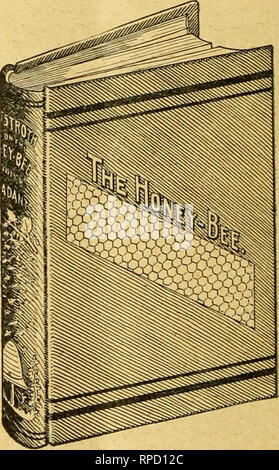 . American bee journal. Bee culture; Bees. Please mention Bee Journal when writing advertisers. Smoking Bees Out of Sections.— The following is given by F. L. Thompson in the Progressive Bee- Keeper, along with which should be the caution that too much smoke affects the taste of the honey : &quot; To remove the bees from a section super, Mr. R. D. Willis uses a box without a top, on which the super just fits. A hole at one end admits the nozzle of the smoker. When the super is set on and smoke pumpt in, nearly all the bees find it impossible to re- main, and the few left eventually leave thru  Stock Photo