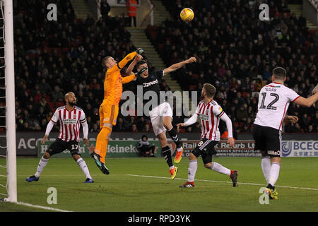 SHEFFIELD, UK 13TH FEBRUARY Dean Henderson of Sheffield United punches clear from Middlesbrough's Daniel Ayala  during the Sky Bet Championship match between Sheffield United and Middlesbrough at Bramall Lane, Sheffield on Wednesday 13th February 2019. (Credit: Mark Fletcher | MI News) Stock Photo