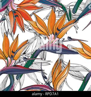 Doodle floral tropical background in vector with doodles colorful seamless pattern. Bright paradise flowers Stock Vector