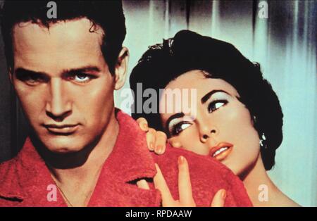 NEWMAN,TAYLOR, CAT ON A HOT TIN ROOF, 1958 Stock Photo