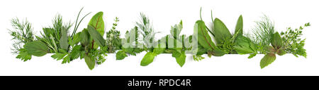 Fresh Herbs - Panorama on white Background Stock Photo