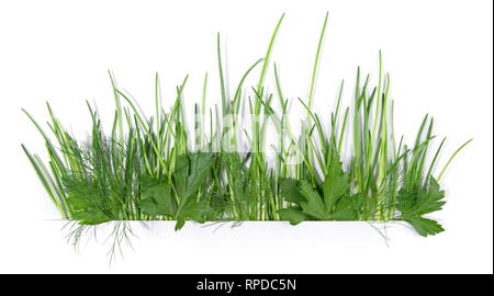 Fresh Herbs - Panorama on white Background Stock Photo