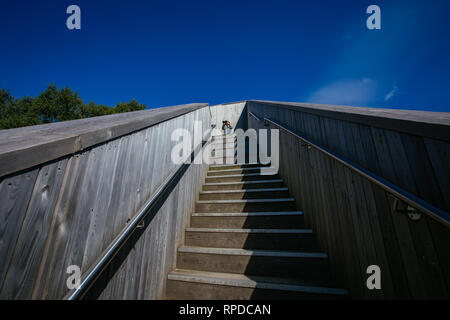 Loch Lomand Sculpture, Scotland Stock Photo