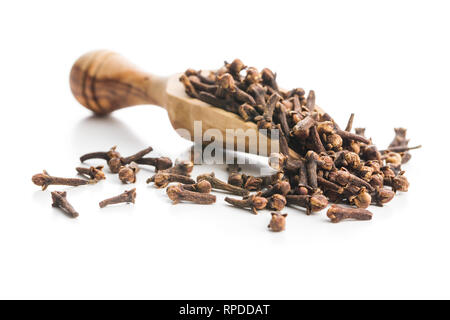 Carnation, dried clove spice in wooden scoop isolated on white background. Stock Photo