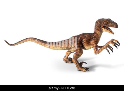 Utah Raptor Dinosaur Claw - Stock Image - C033/5781 - Science
