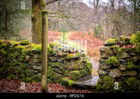 A wet day on Cartmel Fell in the Lake District with a footpath winding off through the woodland towards the church. Stock Photo