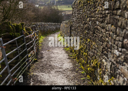 MOss covered stone walls in Teesdale,England,UK Stock Photo