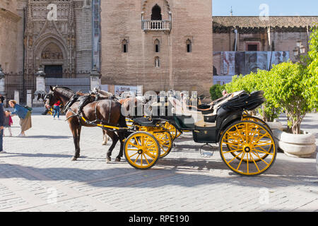 Horse drawn Carriages outside Seville Cathedral waiting to give tourists tours around Seville Stock Photo