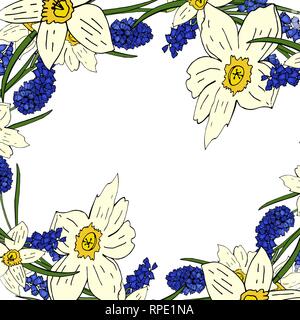 Flower background of daffodils and mouse hyacinth on a white background Stock Vector