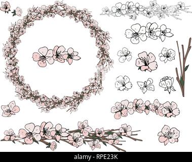 Wreath from spring apple flowers on the white background Stock Vector