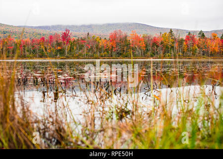 Fall color reflecting off Elbow Pond in the White Mountains, New Hampshire Stock Photo