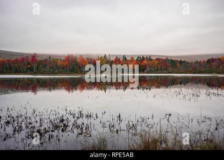Fall color reflecting off Elbow Pond in the White Mountains, New Hampshire Stock Photo