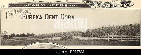 . American farmers' manual. Vegetables Seeds Catalogs; Farms Catalogs; Grasses Seeds Catalogs. . Please note that these images are extracted from scanned page images that may have been digitally enhanced for readability - coloration and appearance of these illustrations may not perfectly resemble the original work.. Peter Henderson &amp; Co; Henry G. Gilbert Nursery and Seed Trade Catalog Collection. New York : Peter Henderson &amp; Co. Stock Photo