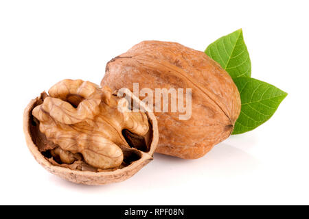 Walnuts with leaf isolated on white background Stock Photo